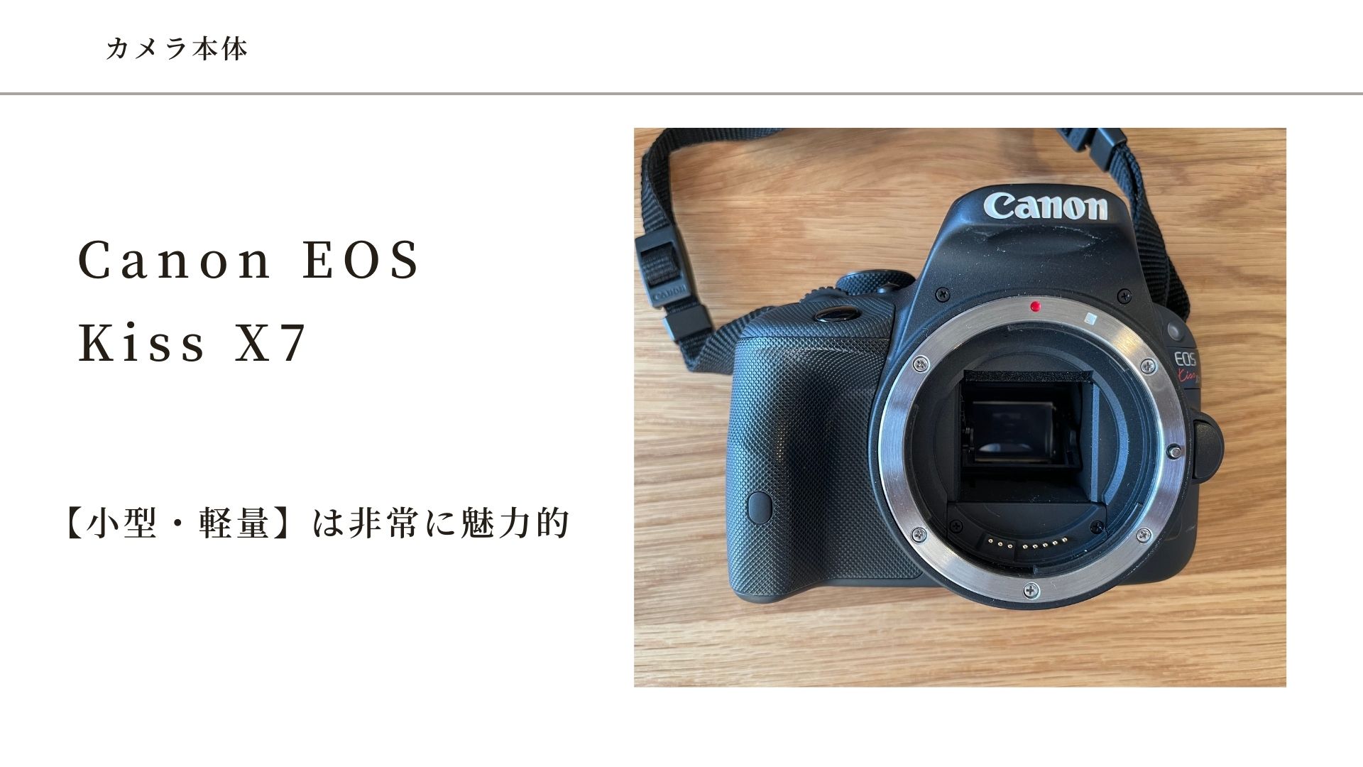 7年使い続けても、初心者におすすめの軽量一眼レフカメラ！Canon EOS ...